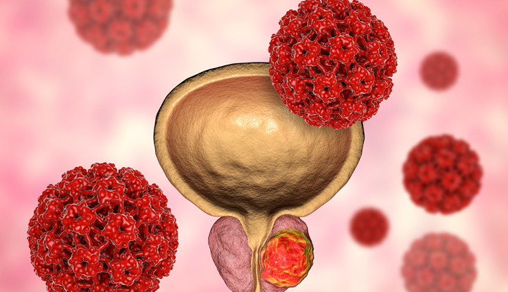 bitter leaf,bitter leaf helth benefits,amazing health benefits of bitter leaf,bitter leaf healthy diet,Health,Health tips