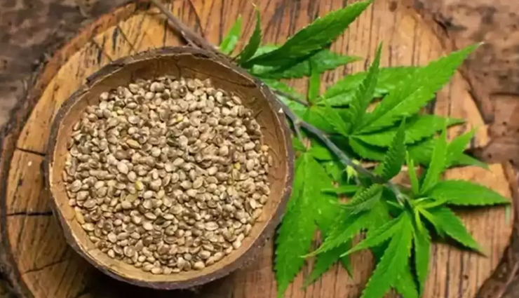 vegan protein without soy,soy-free plant protein,best soy-free vegan protein,non-soy vegan protein alternatives,plant-based protein options,soy-free protein powders,vegan protein sources no soy,dairy-free protein supplements,vegan protein products sans soy,soyless vegan protein choices