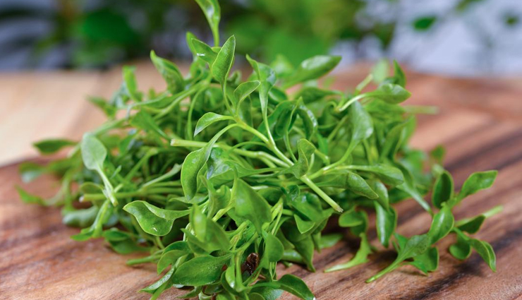 veggies with protein,Health tips,healthy veggies,fitness tips