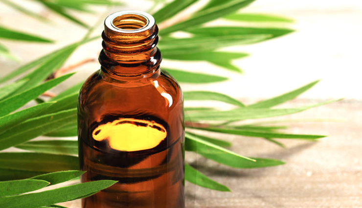 pubic lice,home remedies,home remedies for pubic lice,Health tips,fitness tips