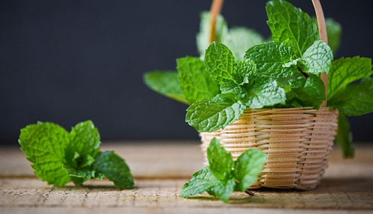 pudina face packs,remedies for acne free skin,skin care tips,beauty tips