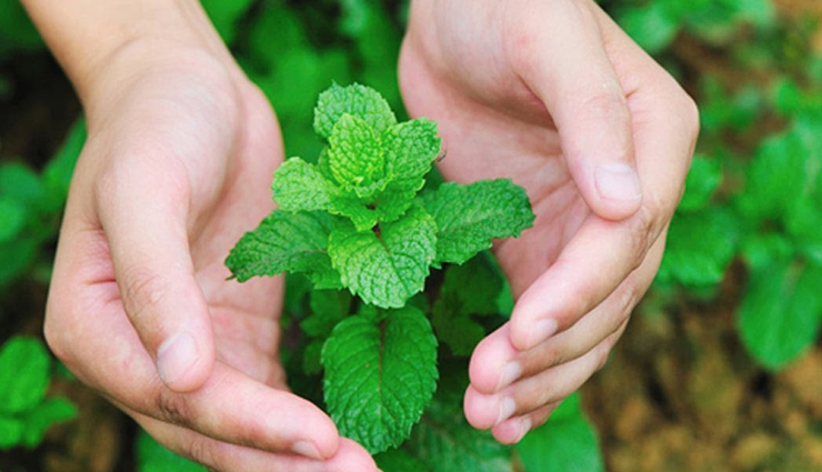 beauty tips,5 homemade face packs for clear skin,tips to get clear skin,homemade ways to get glowing skin