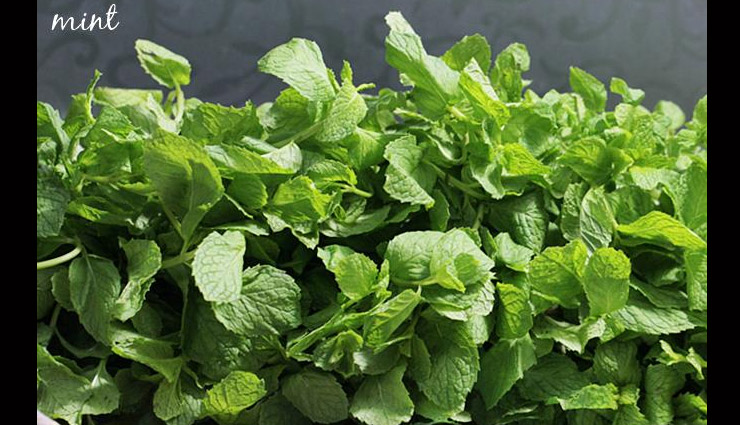 herbs that you must have in your kitchen,must have herbs,herbs for kitchen,household tips,curry leaves or meethi neem,bay leaves or tej patta,pudina,methi