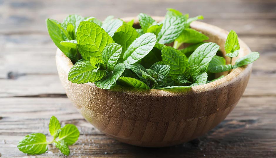 8 Amazing Health Benefits of Pudina