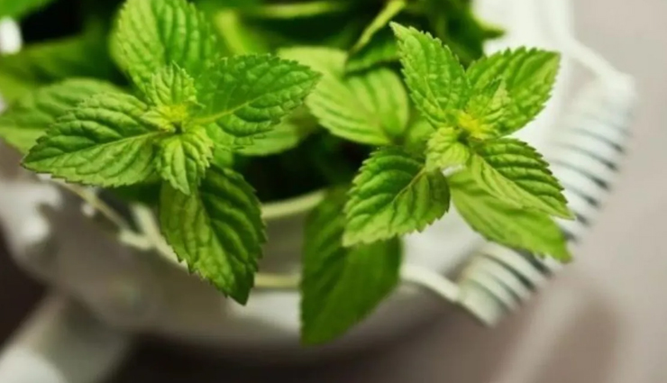 pudina face packs,remedies for acne free skin,skin care tips,beauty tips