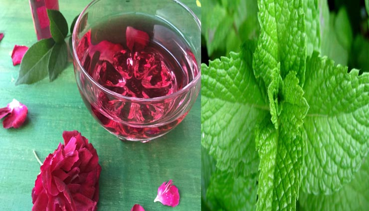 beauty tips,beauty tips in hindi,peppermint facepack,summer beauty tips,summer facepack
