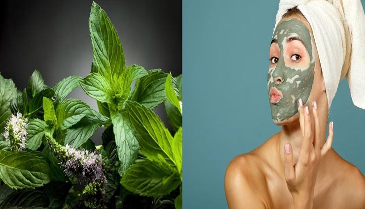 पार्लर में खर्चा करने से अच्छा है अपनाए घर पर बने ये असरदार ब्लीच, बिना किसी नुकसान के देंगे चहरे को रंगत beauty tips,beauty tips in hindi,homemade bleach,beauty by bleach,skin care tips,beautiful face