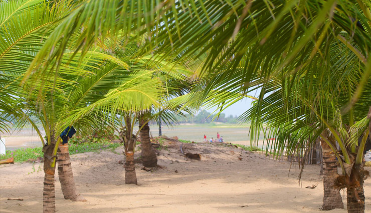 pondicherry tourist places,best places to visit in pondicherry,top attractions in pondicherry,things to do in pondicherry,pondicherry beaches,paradise beach pondicherry,lighthouse pondicherry,grabbing lake pondicherry,eglise de notre dame des anges,ouster wetland and national park,ganesh garden pondicherry,goubert market pondicherry,pudukuppam beach,jawahar toy museum,weekend getaways near pondicherry,places to explore around pondicherry