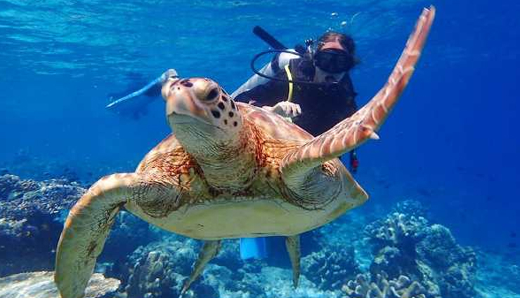 southeast asia,diving in southeast asia,amazing places to try diving in southeast asia,raja ampat,indonesia,tubbataha reef,philippines,pulau sipadan,malaysia,surin islands,thailand,bunaken,indonesia,coron,philippines,wakatobi islands,indonesia,koh tao,komodo national park,travel.holidays,travel guide