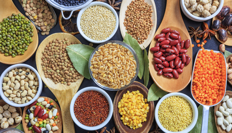 vegetarians,best source of protein,food items rich source of protein,protein,Health,Health tips