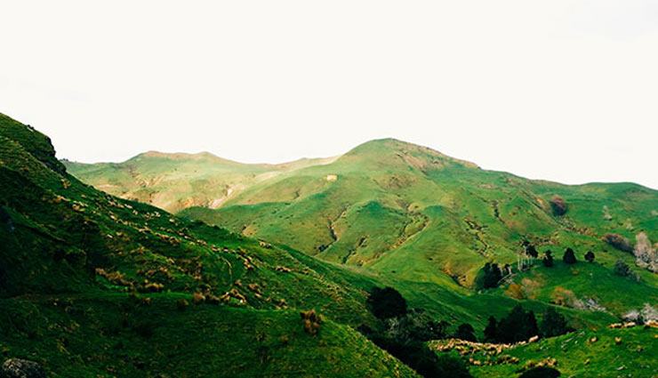 major attractions of pulwama,kashmir,pulwama,pulwama is famous for saffron,holidays,travel,tourism