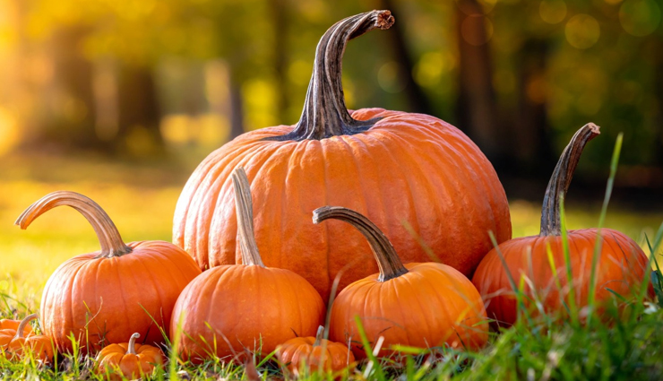 dry hair,conditioner for dry hair,diy conditioner for dry hair,8 diy conditioner for dry hair,hair care,hair care tips,winter hair care tips,hair,healthy hair,beauty,beauty tips