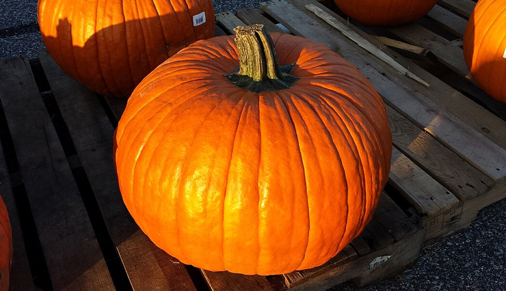 Amazing Health Benefits Of Pumpkin