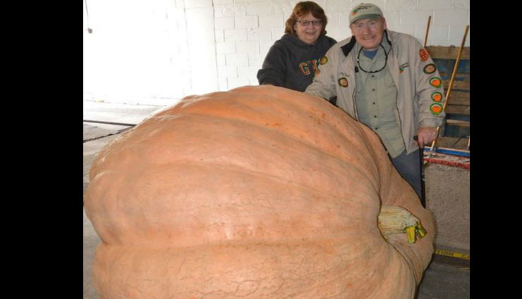 पम्पकिन फेस्ट में 803 किलोग्राम का कद्दू लाकर दंपत्ति ने जीता 1.60 लाख रुपए का पुरस्कार