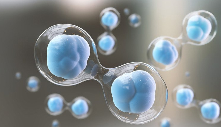 pumpkin seed oil for skin and hair,beauty benefits of pumpkin seed oil,skin care tips,hair care tips