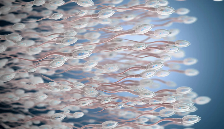 pumpkin seeds,health benefits of pumpkin seeds,Health tips,fitness tips