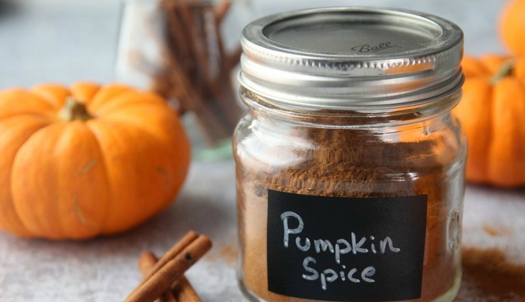 pumpkin spice coconut bliss balls,pumpkin spice,coconut bliss balls,healthy snacks,vegan treats,gluten-free snacks,energy bites,fall flavors,nutritious desserts,no-bake recipes,plant-based snacks