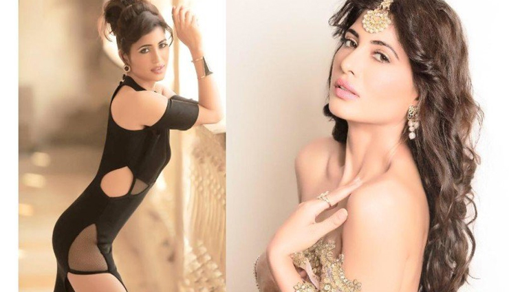 bollywood celebrities,vidya balan,star cast of begum jaan,pallvai sharda,gauhar khan,flora,mishti,riddhima tiwari,punam rajput,illa arun,raviza chauhan,priyanak sethiya,gressy goswami