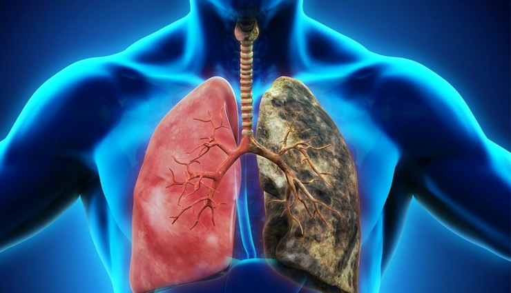 punarnava,health benefits of punarnava,Health tips,fitness tips