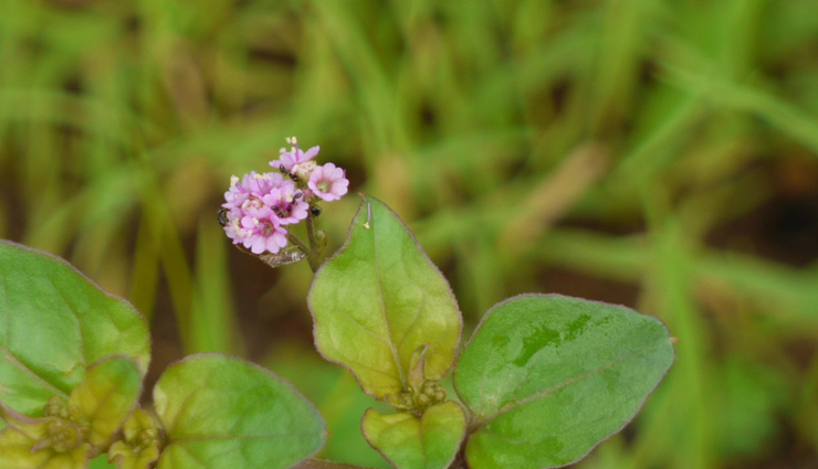 Health tips,health tips in hindi,sexual health