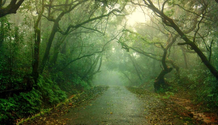 weekend getaways near pune,pune weekend destinations,top weekend escapes from pune,weekend trips from pune,best weekend getaways near pune,pune weekend travel,pune weekend retreats,weekend holiday spots near pune,pune weekend tourism,pune weekend travel guide,weekend vacations from pune,pune weekend adventure destinations,weekend hideaways near pune,pune weekend break destinations,weekend outings from pune,pune weekend excursion spots,pune weekend leisure destinations,weekend jaunts from pune,weekend wanderlust spots near pune,pune weekend sightseeing options