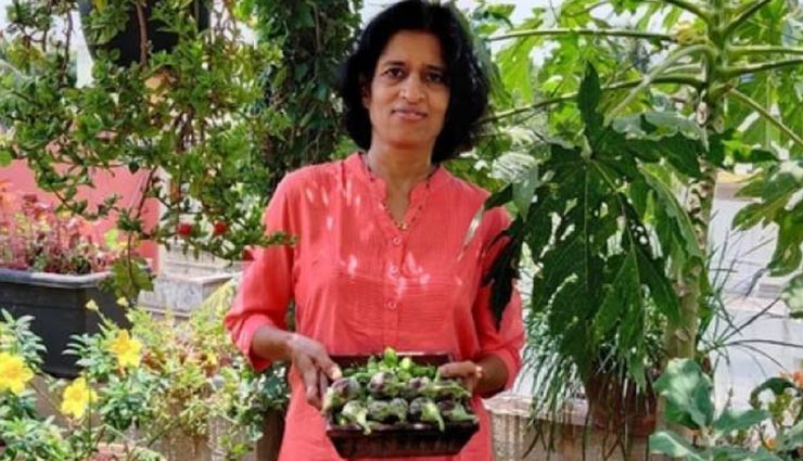 weird news,weird information,weird gardening,without soil gardening,gardening on the roof