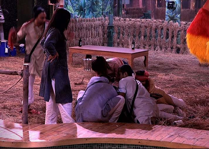 bigg boss 11,Salman Khan,bb poultry farm task,captaincy task,vikas gupta,shilpa shide,akash,hina khan,luv tyagi,priyank,tv show,tv news,bigg boss news