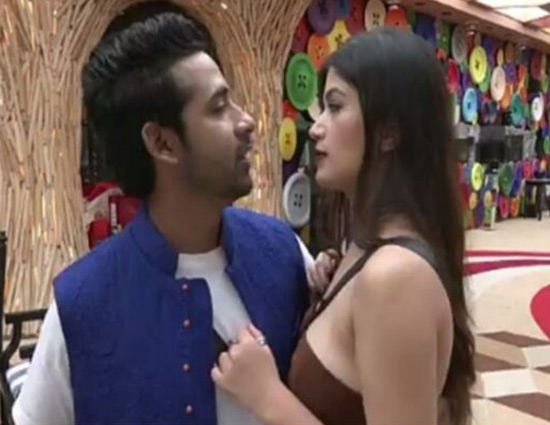 Bigg Boss 11- "Puneesh is The Strategy For Bandagi To Stay in House", Vasu Kalra