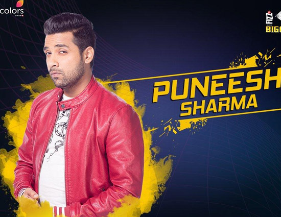 Bigg Boss 11 Everything You Need to Know About Puneesh Sharma