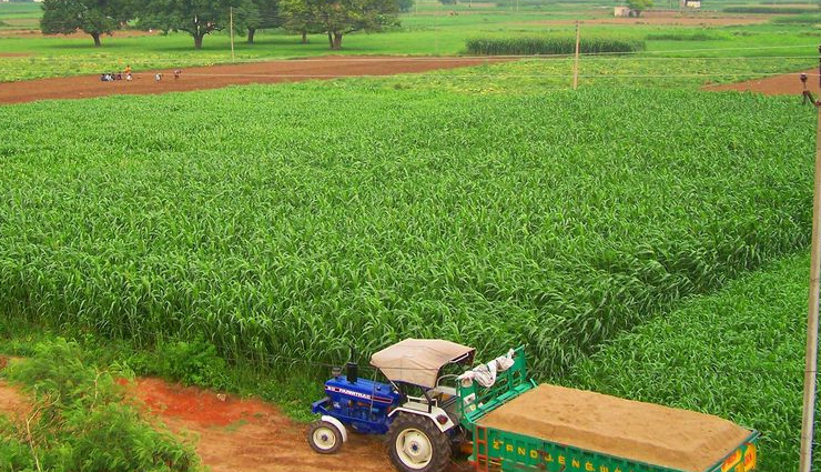 pre wedding photoshoot,best places for pre wedding photoshoot in hindi