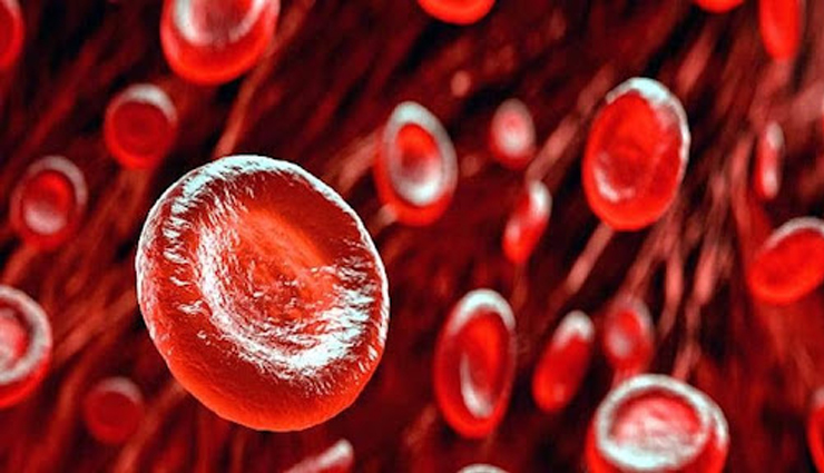 jujube health benefits,benefits of jujube,jujube fruit,jujube for health,jujube uses,jujube nutrition,health benefits of jujube,jujube for immunity,jujube for sleep,jujube for digestion,jujube fruit benefits,jujube medicinal properties,jujube for skin,jujube benefits for weight loss,jujube natural remedies,jujube fruit for detox,jujube in ayurveda,jujube health benefits for immunity,jujube fruit for anxiety