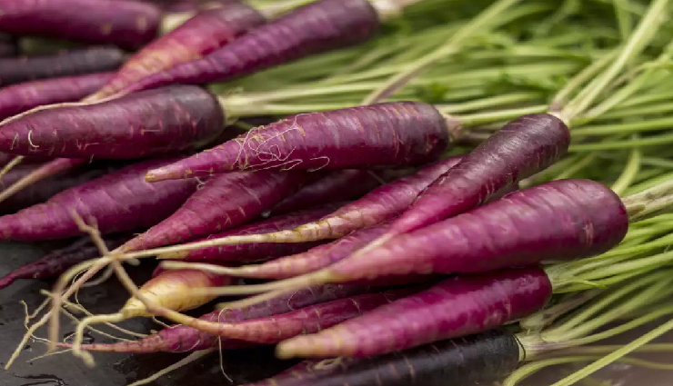 types of carrots,carrot varieties and health benefits,nutritional value of different carrots,purple carrots health benefits,yellow carrots vs. orange carrots,benefits of heirloom carrots,carrot colors and antioxidants,carrot varieties for specific health concerns,carrot varieties and vitamins,anthocyanins in purple carrots,beta-carotene in orange carrots,nutritional differences in carrot colors,benefits of rainbow carrots,health advantages of baby carrots,carrot antioxidants and skin health,carrot types for eye health,heirloom carrot benefits,cooking with different carrot varieties,carrot juice and health benefits,carrot colors and anti-inflammatory properties,organic carrots and health,carrot varieties for weight management,carrot types and immune system support,gluten-free carrot options,fermented carrots and gut health,carrot varieties in traditional medicine,roasting vs. steaming carrots for nutrition,different carrot colors and taste profiles