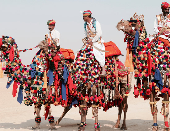 5 Reasons That Will Force You To Head For Pushkar Mela