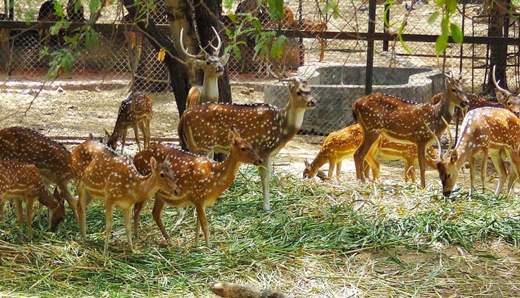 must visit places of pushkar,travel,tourism,rajasthan,rajasthan tourism,tourist places in rajasthan,ajmer,pushkar tourist places