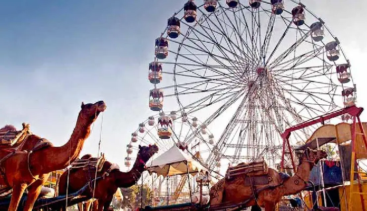 rajasthan fairs and festivals,cultural festivals in rajasthan,traditional festivals of rajasthan,pushkar fair,desert festival rajasthan,camel festival bikaner,gangaur festival,teej festival rajasthan,rajasthani handicrafts fair,rajasthan cultural heritage,mount abu festivals,folk music and dance rajasthan