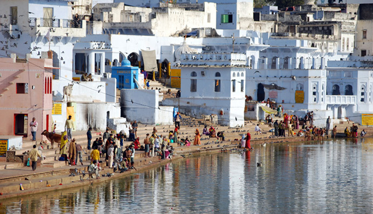 3 reasons to head towards pushkar