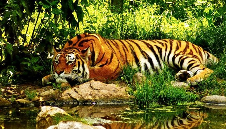 किसी ठंडी जगह की तलाश में हैं तो चले आइये कुर्ग, ये 8 पर्यटन स्थल देंगे घूमने का पूरा मजा tourist destinations in coorg,coorg travel,holidays in coorg