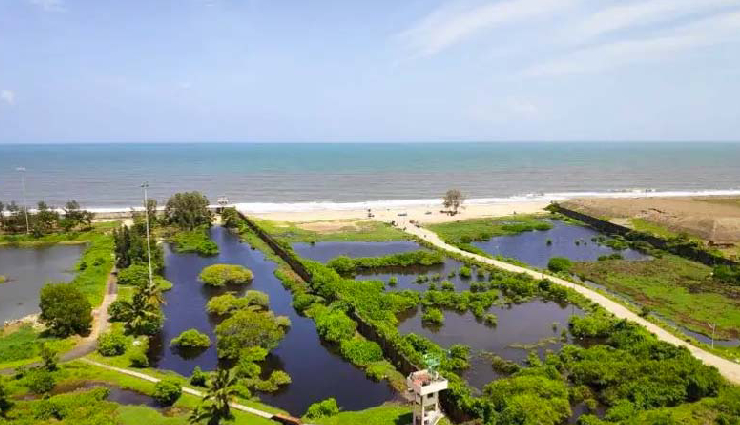 kochi beautiful beaches,fort kochi beach attractions,cherai beach tranquility,vypin beach scenic beauty,andhakaranazhi beach kerala,marari beach cleanest beach,kuzhupilly beach hidden gem,puthuvype beach serene retreat,alappuzha beach venice of the east,top beaches in kochi