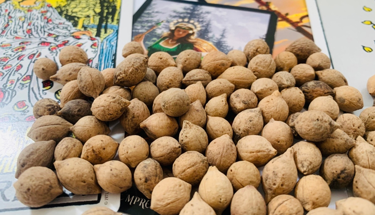 6 Health Benefits of Putrajeevak You Didn't Knew