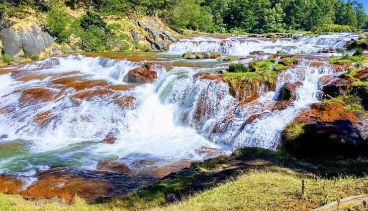 ooty,spots to visit in ooty,ooty travel,ooty travel tips,travel guide,travel,tourism