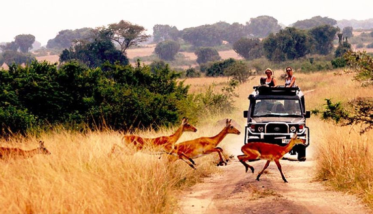 best places to visit in uganda,top tourist spots in uganda,must-see attractions in uganda,explore uganda: top destinations,uganda travel guide: best places,uganda hidden gems,ultimate uganda travel destinations,discover uganda: top tourist sites,uganda most visited places,unforgettable uganda: tourist attractions