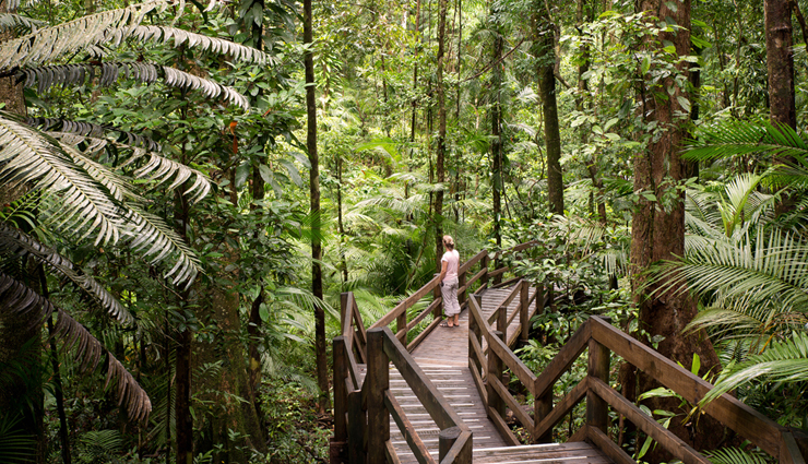 queensland,places to visit in queensland,tourist attraction in queensland,great barrier reef,daintree national park,fraser island,gold coast,whitsunday islands,cairns