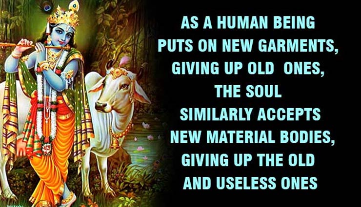 janmashtami special of lights he is the radiant sun,lord krishna,janmashtami special,lord krishna quotes,bhagwat gita quotes,life lessons from lord krishna