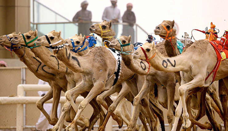 desert,amazing this you can experience in desert,desert travel,desert travel guide,tourism,holidays,travel tips