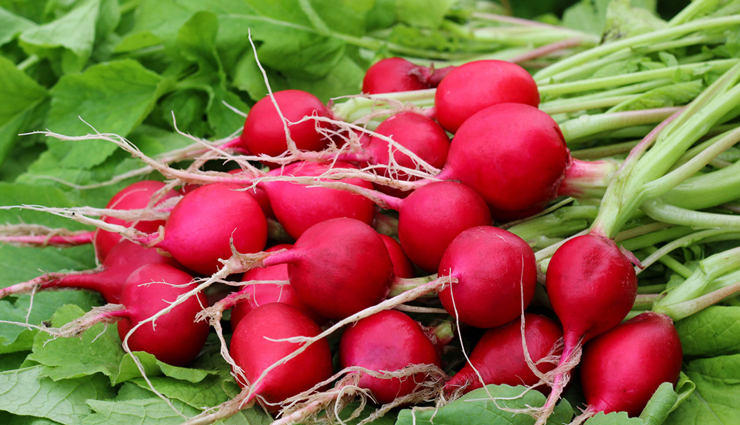 7 Reasons Why Radish is Good For Your Health