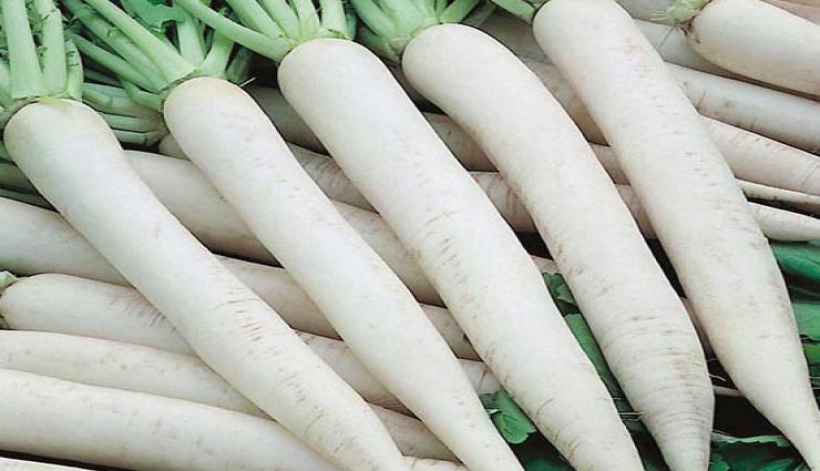 फायदें : सर्दियों में रोजाना एक मूली का सेवन बचाता है आपको कैंसर, डायबिटीज जैसी कई बीमारियों से...