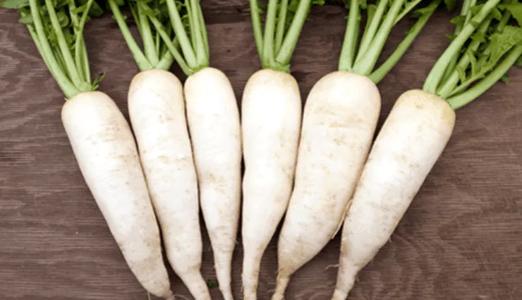 6 Health Benefits of Eating Radish During Winters
