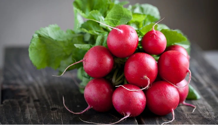 pus cells in urine,natural remedies for pus cells,high pus cells treatment,uti symptoms,kidney infection signs,burning urination relief,foul-smelling urine causes,pus cells natural cure,urinary tract infection remedies,stds and pus cells in urine