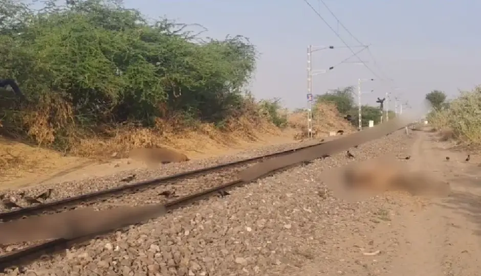 रेल हादसे में 6 ऊंटों की दर्दनाक मौत, दो इंजन में फंसे; 30 मिनट तक ट्रैक पर खड़ी रही ट्रेन