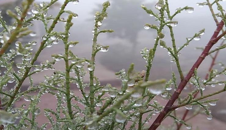 भरतपुर : अभी तक खत्म नहीं हुई सर्दियाँ, 12 को पश्चिमी विक्षोभ हो रहा सक्रिय, आ सकती हैं बारिश